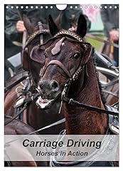 Carriage driving horses for sale  Delivered anywhere in UK