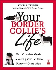 Your border collie d'occasion  Livré partout en France
