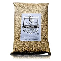 Barley seeds natural for sale  Delivered anywhere in USA 