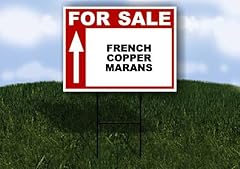 French copper marans for sale  Delivered anywhere in USA 