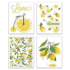 Creatcabin limone frutta usato  Spedito ovunque in Italia 