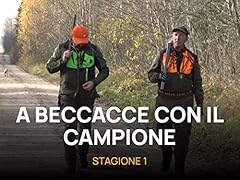 Beccacce con campione usato  Spedito ovunque in Italia 