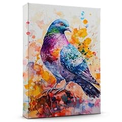 Pigeon english fantail for sale  Delivered anywhere in USA 