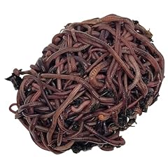Homegrownworms.com 500 red for sale  Delivered anywhere in USA 