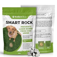 Buddy best 200g for sale  Delivered anywhere in UK