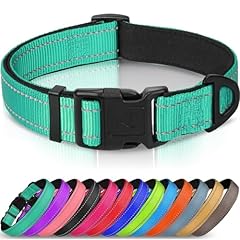 Joytale reflective dog for sale  Delivered anywhere in USA 