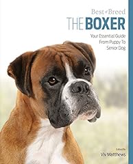 The boxer your d'occasion  Livré partout en France