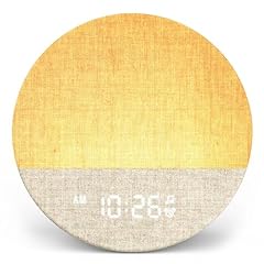 Dreamegg sunrise sunrise for sale  Delivered anywhere in USA 