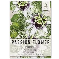 Seed needs purple for sale  Delivered anywhere in USA 
