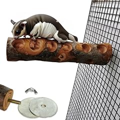 Sugar glider cage for sale  Delivered anywhere in USA 