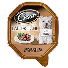 Cesar cucina campagna usato  Spedito ovunque in Italia 