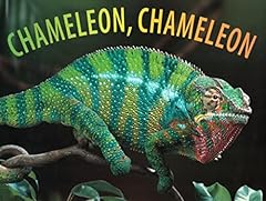 Chameleon chameleon for sale  Delivered anywhere in USA 