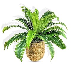 Lcg florals inch for sale  Delivered anywhere in USA 