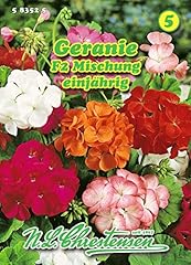 Pelargonium zonale pelargonien gebraucht kaufen  Wird an jeden Ort in Deutschland