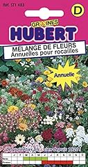 Graines mélange fleurs d'occasion  Livré partout en Belgiqu