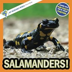 Salamanders incredible picture for sale  Delivered anywhere in USA 