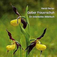 Gelber frauenschuh botanisches gebraucht kaufen  Wird an jeden Ort in Deutschland