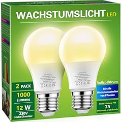 Briignite glühbirne leuchtet gebraucht kaufen  Wird an jeden Ort in Deutschland