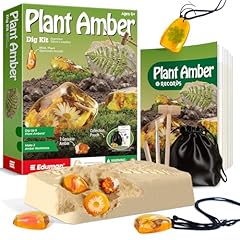 Eduman amber dig for sale  Delivered anywhere in USA 