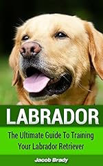 Labrador ultimate guide for sale  Delivered anywhere in USA 
