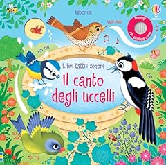 Libri tattili sonori usato  Spedito ovunque in Italia 