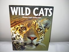 Wild cats photo for sale  Delivered anywhere in USA 