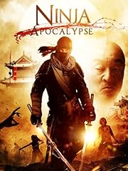 Ninja apocalypse d'occasion  Livré partout en France