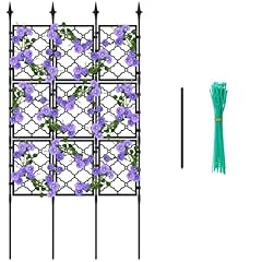 Bucherry 5.46 lattice for sale  Delivered anywhere in USA 