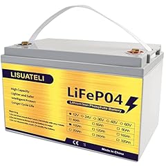 12v 100ah lifepo4 for sale  Delivered anywhere in USA 