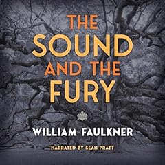 Sound fury for sale  Delivered anywhere in UK