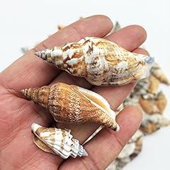 Pepperlonely brown chulla for sale  Delivered anywhere in USA 