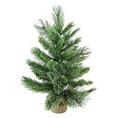 Northlight mixed pine for sale  Delivered anywhere in USA 