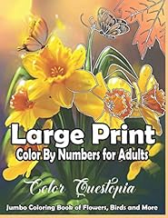 Large print color for sale  Delivered anywhere in USA 