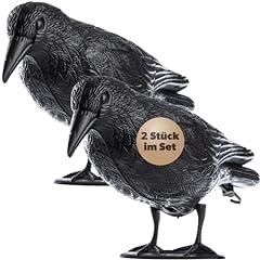 Kadax noir corbeau d'occasion  Livré partout en Belgiqu