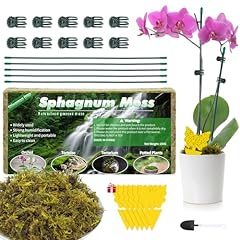 Sphagnum moss orchid for sale  Delivered anywhere in UK