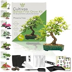 Cultivea kit first usato  Spedito ovunque in Italia 