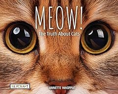 Meow truth cats for sale  Delivered anywhere in USA 