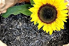 Schwarze sonnenblumenkerne ern gebraucht kaufen  Wird an jeden Ort in Deutschland