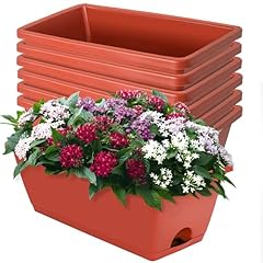 Loconha window box for sale  Delivered anywhere in USA 