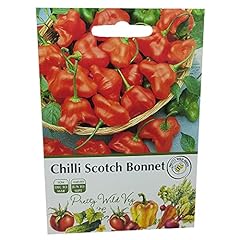 Chilli scotch bonnet for sale  Delivered anywhere in UK