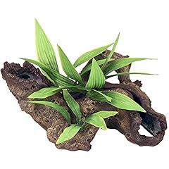 Rosewood mopani wood for sale  Delivered anywhere in UK