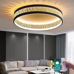 Aoomoon lampada soffitto usato  Spedito ovunque in Italia 