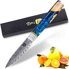 Dnifo Classic Paring Knife 3.5 Inch, Damascus Steel Japanese Knife - Sharp Fruit Knife for Peeling, Cutting, and Slicing - Non-Stick Blade and Anti-Rusting Forged Cutlery Knife, used for sale  Delivered anywhere in Canada