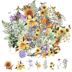 120 transparente scrapbooking gebraucht kaufen  Wird an jeden Ort in Deutschland