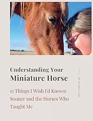 Understanding miniature horse for sale  Delivered anywhere in USA 