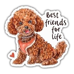 Red toy poodle for sale  Delivered anywhere in USA 