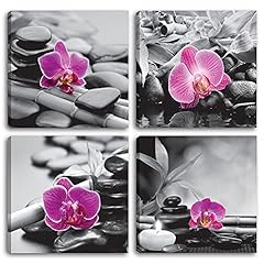 Degona orchidée pièces d'occasion  Livré partout en France