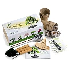 Grow bonsai tree for sale  Delivered anywhere in UK