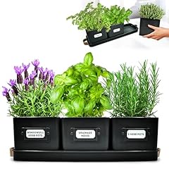 Herb planter indoor for sale  Delivered anywhere in USA 