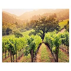 16x20 napa valley for sale  Delivered anywhere in USA 